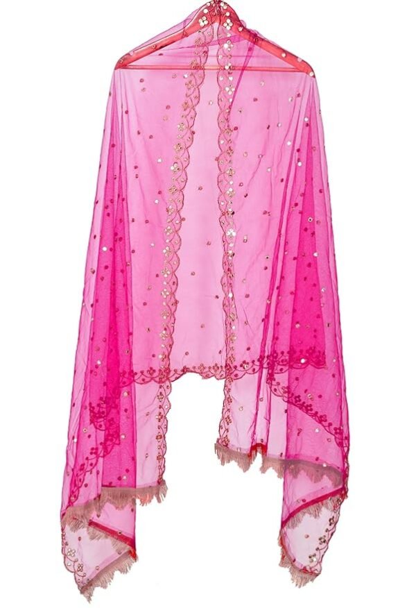 Plastic Mirror Emboridered Net Dupatta for Womens & Girls With Fancy Cut Design with Lace